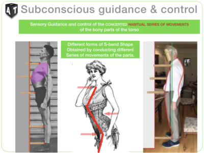 Diagram: any posture results from a series of movements of the parts.