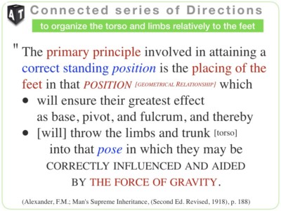 Slide9-Organise spatially the torso and limbs relatively to the feet position.