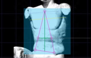 Demonstrate a correct geometry of the Torso