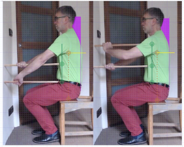 Visualisation of the limits of the movements of the different parts of the torso