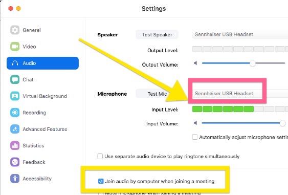 image of the Zoom Client settings Audio